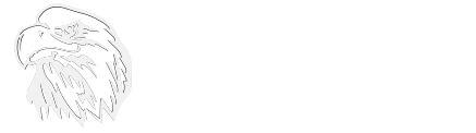 FERMINO SEGURIDAD